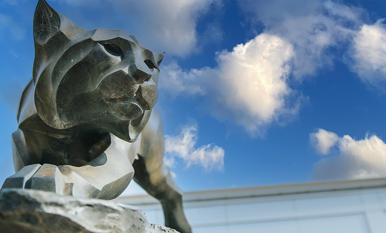 Bobcat at Peru State